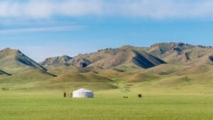 Memory Training Courses in Mongolia